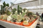 <b>DSC01778.JPG</b><br>