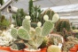 <b>DSC01779.JPG</b><br>