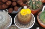<b>DSC01782.JPG</b><br>