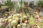 <b>DSC01788.JPG</b><br>