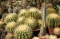 <b>DSC01791.JPG</b><br>