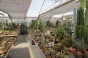 <b>DSC01799.JPG</b><br>