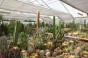 <b>DSC01800.JPG</b><br>