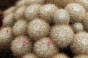 <b>DSC01803.JPG</b><br>