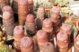 <b>DSC01808.JPG</b><br>