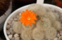 <b>DSC01815.JPG</b><br>