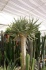 <b>DSC01818.JPG</b><br>