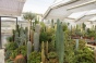 <b>DSC01819.JPG</b><br>