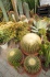 <b>DSC01820.JPG</b><br>