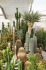 <b>DSC01830.JPG</b><br>