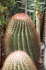 <b>DSC01833.JPG</b><br>