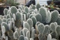 <b>DSC01835.JPG</b><br>