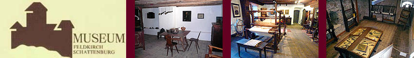 Heimatpflege- und Museumsverein Feldkirch