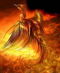 Phoenix10.jpg