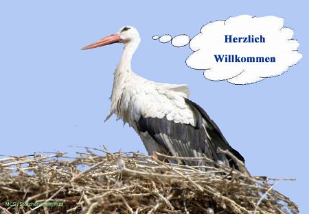 Der Storchenverein hei&szlig;t Sie herzlich Willkommen