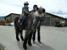 Pony Benny 45 Jahre unser &auml;ltester Patient