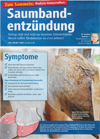 Saumbandentz&uuml;ndung