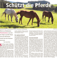 Sch&uuml;tzt die Pferde