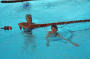 <b>DSC_4824.jpg</b><br>