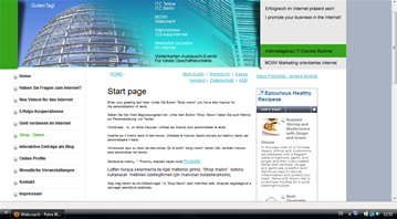 Demo-Shop Webservicebluhme.de