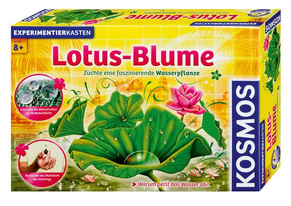 Kosmos Lotus Blume