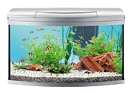 Tetra AquaArt� Evolution Line Aquarium Komplett-Set 100 l