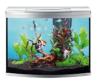 Tetra AquaArt� Evolution Line Aquarium Komplett-Set 130 l