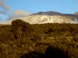 Kilimanjaro Trekkingtour - Machame Route 18.07.2010 bis 24.07.2010