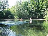 Kanufahren auf dem M�hlbach Altrhein Rheinauen