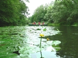 gef�hrte Kanutour, Paddeltour, Moder, Elsass, Betriebsausflug