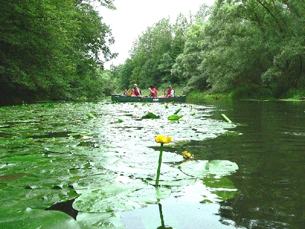 Kanufahren auf der Moder Seerose