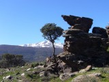 Wandern Sierra Nevada Felsen vor Picon