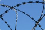 natodraht haus sichern, sicher nato draht