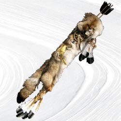 Artifact Kojote Peilköcher