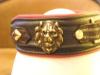 Halsband Lion King