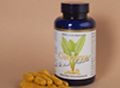 Curcuma longa Kurkuma Kapseln 418 mg reines Curcumin aus 440 mg Curcuma longa Extrakt Dr. Michalzik