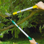 LOT COUPE BRANCHES GREENTECH