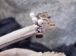 Fashionring "open gold" by sign of soul