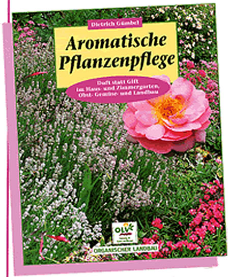 Aromatische Pflanzen-Pflege
