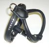 Hunter Elchgeschirr "STRASS" schwarz