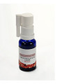 Spenglersan Virus influencae comp. -G D13 Mund-Rachenspray 20ml