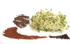 Gew�rz-Samen-Set I