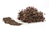 Rotkohl