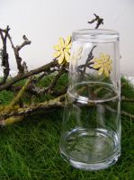 Karaffe und Glas als Set