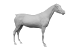 Pferd G2096