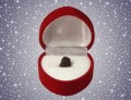 Sternschnuppe als Weihnachtsgeschenk