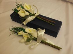 Calla