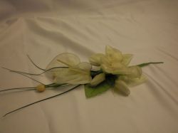 Calla
