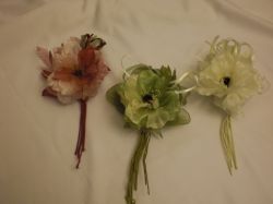 Anemonen