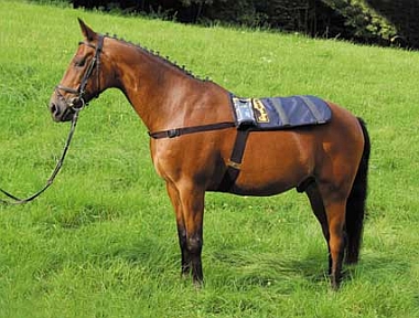 Equimag 2 Kompakt-Set